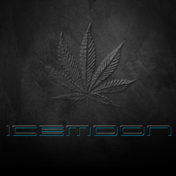 DJ Icemoon | The Beat Confusion