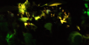 Filename=Icemoon_2012_10.png
Filesize=1430KiB
Dimensions=1920x980
Date added=Sep 17, 2012 Icemoon_2012_10.png